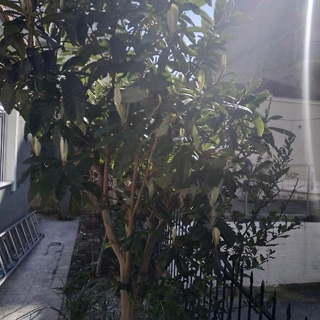 Agelikis' Apartments Nea Kallikrateia Екстер'єр фото